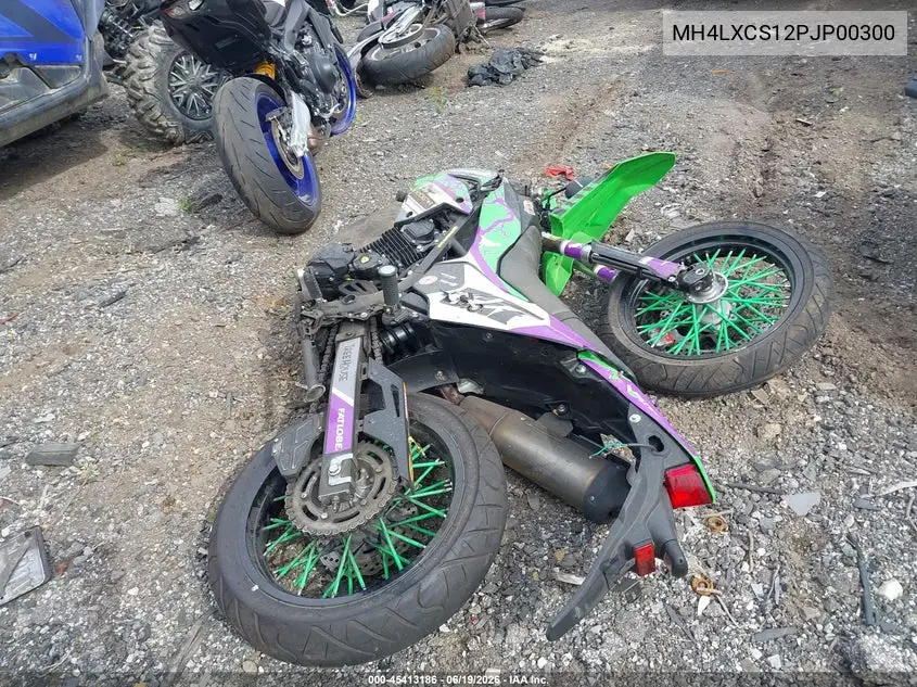 2023 Kawasaki Klx230 S VIN: MH4LXCS12PJP00300 Lot: 45413186