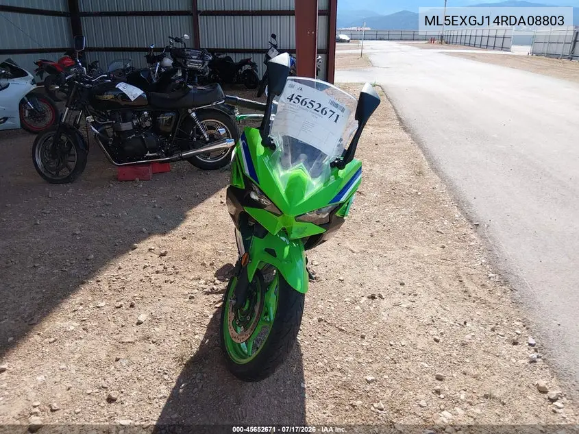 2024 Kawasaki Ex500 A/B VIN: ML5EXGJ14RDA08803 Lot: 45652671