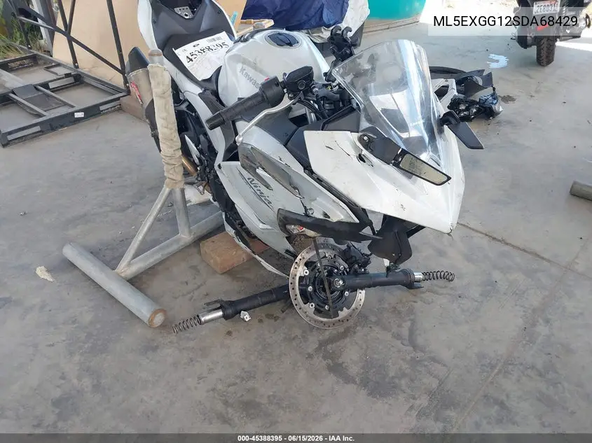 2025 Kawasaki Ex500 VIN: ML5EXGG12SDA68429 Lot: 45388395