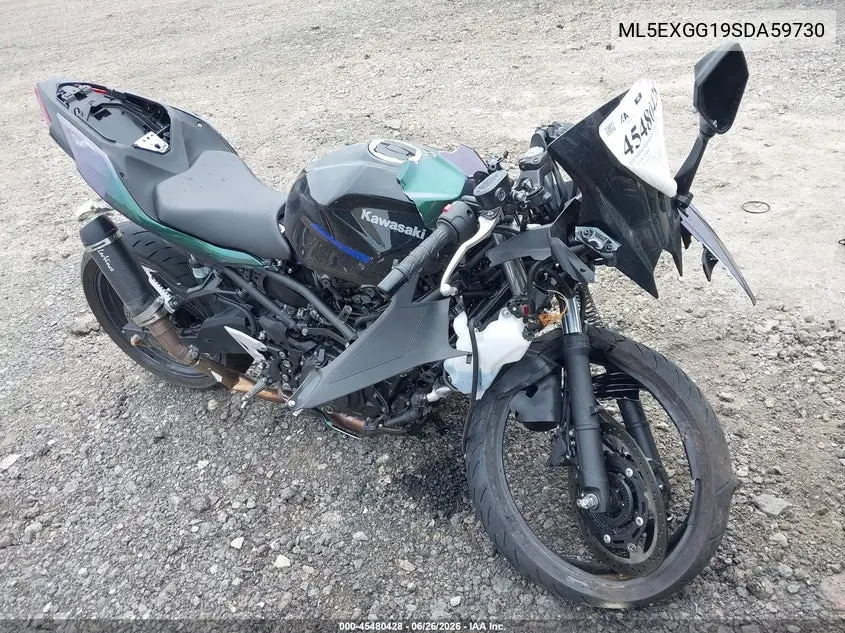 2025 Kawasaki Ex500 VIN: ML5EXGG19SDA59730 Lot: 45480428