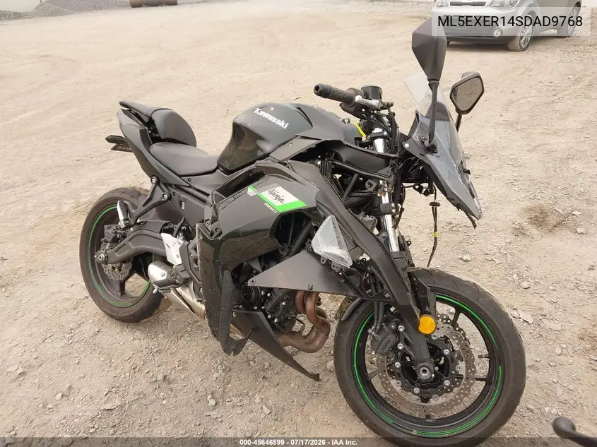 2025 Kawasaki Ex650 R VIN: ML5EXER14SDAD9768 Lot: 45646599