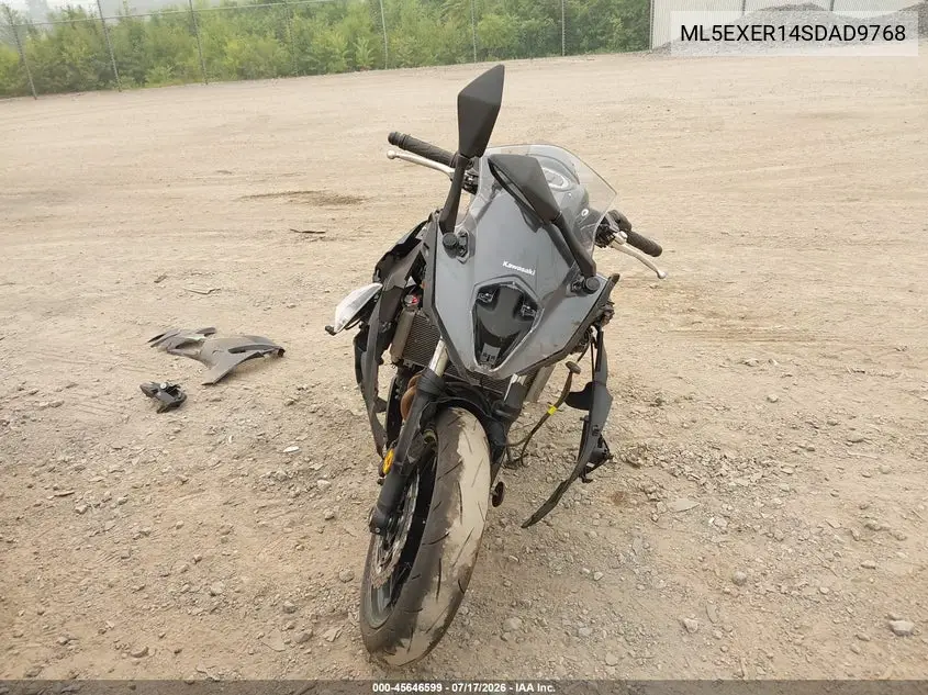 2025 Kawasaki Ex650 R VIN: ML5EXER14SDAD9768 Lot: 45646599