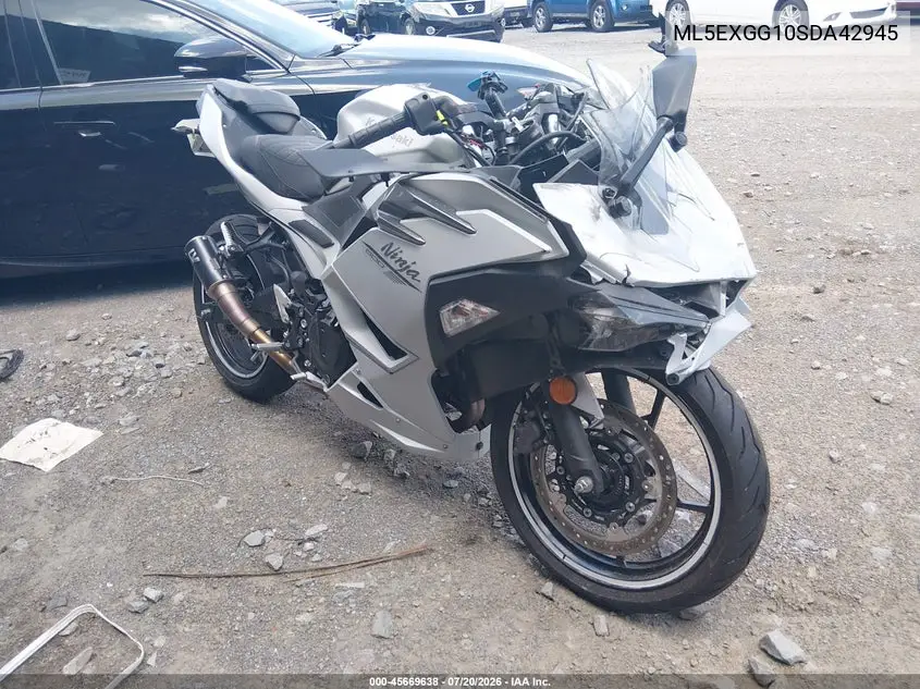 2025 Kawasaki Ex500 VIN: ML5EXGG10SDA42945 Lot: 45669638