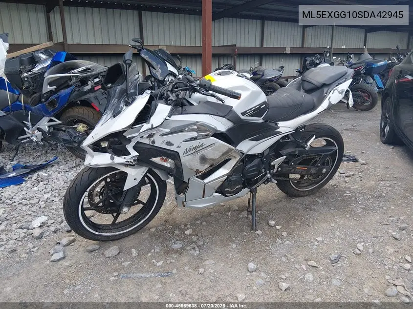 2025 Kawasaki Ex500 VIN: ML5EXGG10SDA42945 Lot: 45669638