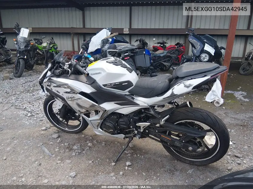 2025 Kawasaki Ex500 VIN: ML5EXGG10SDA42945 Lot: 45669638