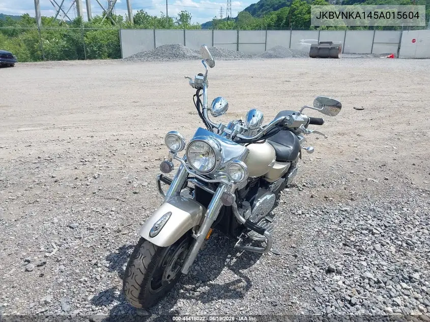 2005 Kawasaki Vn1600 A1 VIN: JKBVNKA145A015604 Lot: 45418022