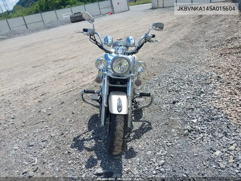 2005 Kawasaki Vn1600 A1 VIN: JKBVNKA145A015604 Lot: 45418022