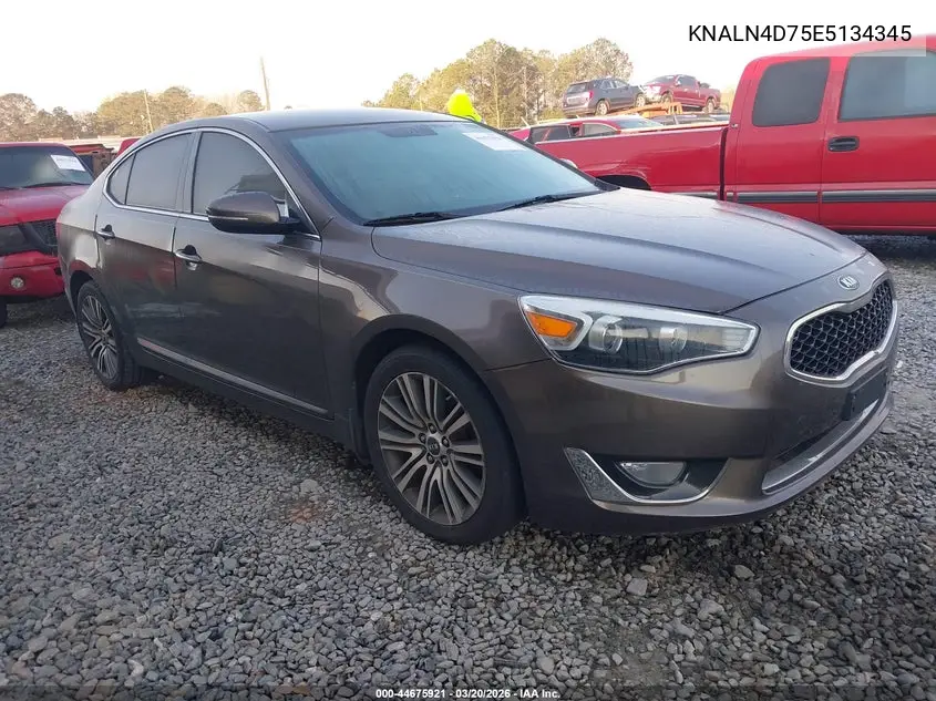 2014 Kia Cadenza Premium VIN: KNALN4D75E5134345 Lot: 44675921