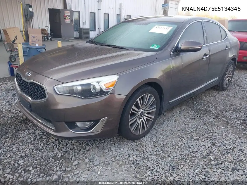 2014 Kia Cadenza Premium VIN: KNALN4D75E5134345 Lot: 44675921