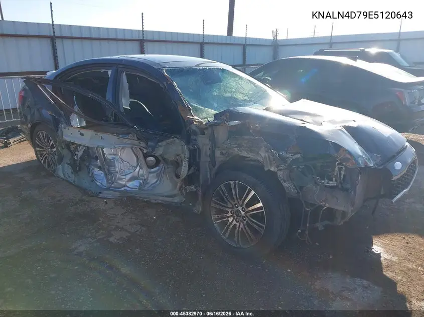 2014 Kia Cadenza Premium VIN: KNALN4D79E5120643 Lot: 45382970