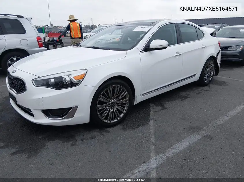 2014 Kia Cadenza Limited VIN: KNALN4D7XE5164571 Lot: 45408921