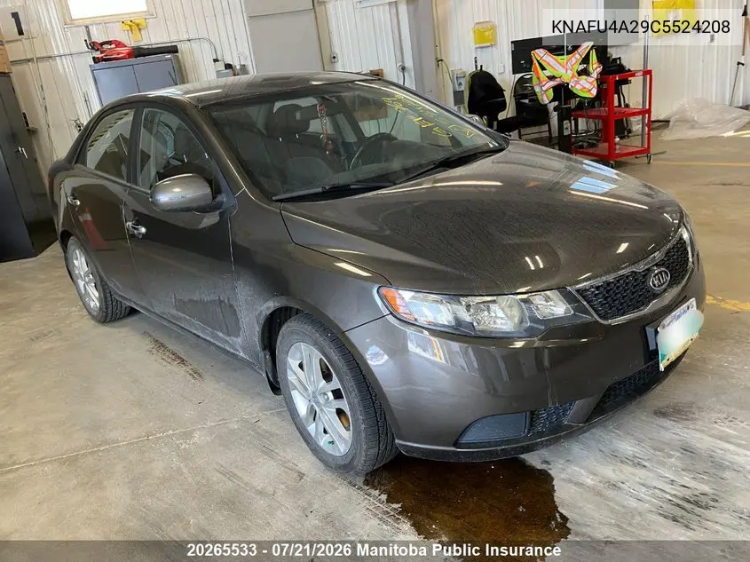 2012 Kia Forte Ex VIN: KNAFU4A29C5524208 Lot: 20265533