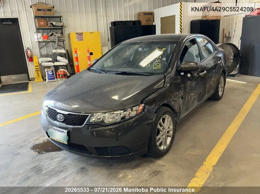 2012 Kia Forte Ex VIN: KNAFU4A29C5524208 Lot: 20265533