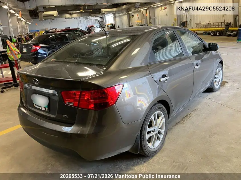 2012 Kia Forte Ex VIN: KNAFU4A29C5524208 Lot: 20265533