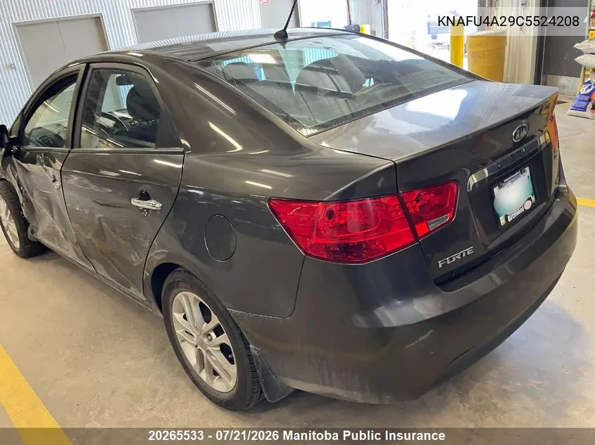 2012 Kia Forte Ex VIN: KNAFU4A29C5524208 Lot: 20265533