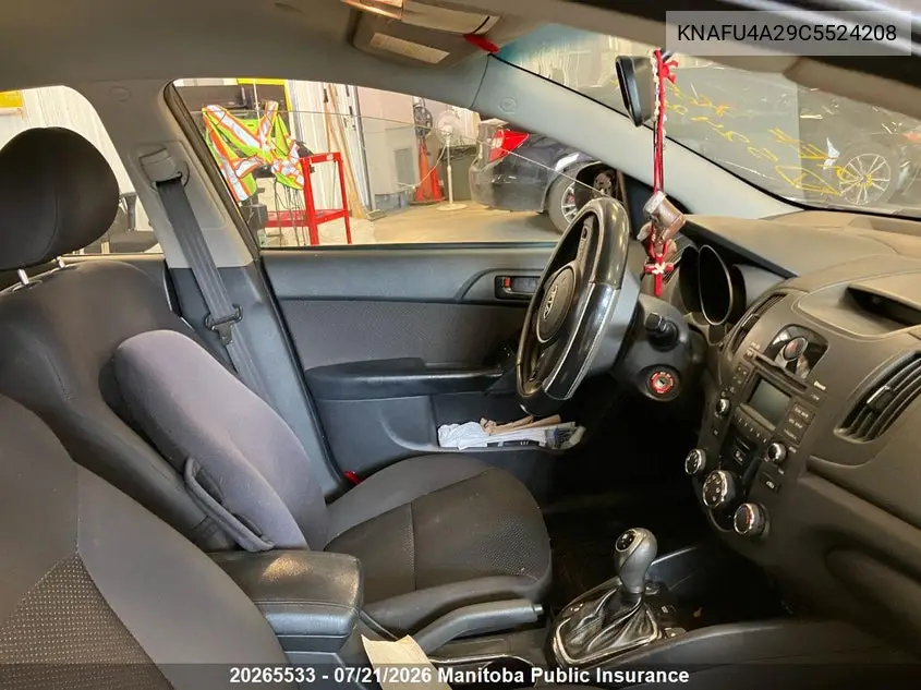2012 Kia Forte Ex VIN: KNAFU4A29C5524208 Lot: 20265533