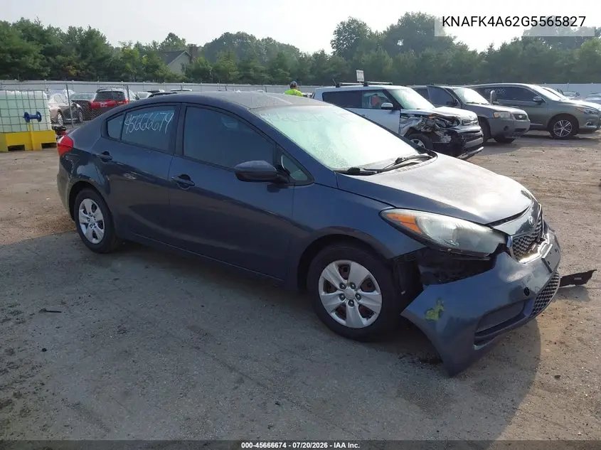 2016 Kia Forte Lx VIN: KNAFK4A62G5565827 Lot: 45666674