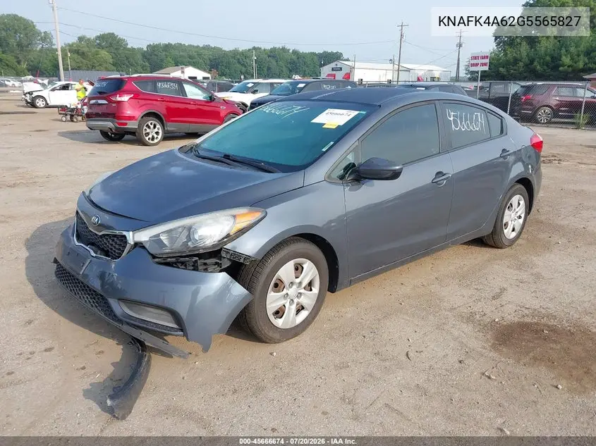 2016 Kia Forte Lx VIN: KNAFK4A62G5565827 Lot: 45666674