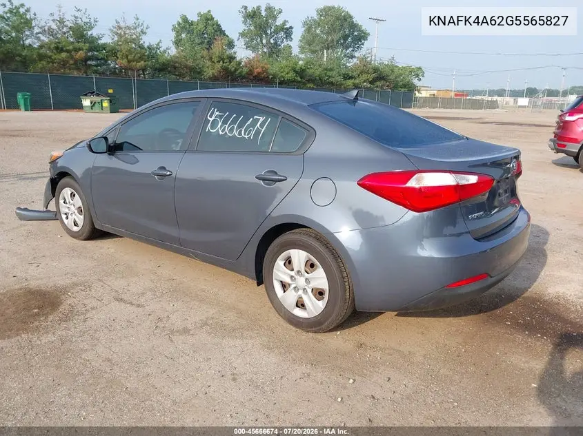 2016 Kia Forte Lx VIN: KNAFK4A62G5565827 Lot: 45666674