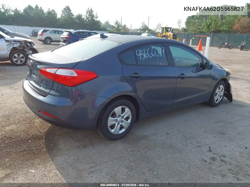 2016 Kia Forte Lx VIN: KNAFK4A62G5565827 Lot: 45666674