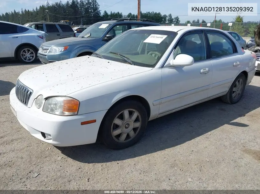 2003 Kia Optima Lx V6/Se V6 VIN: KNAGD128135209392 Lot: 45076098