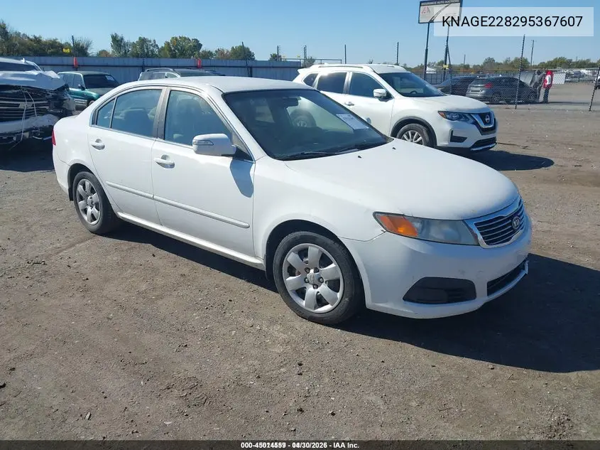 KNAGE228295367607 2009 Kia Optima Lx