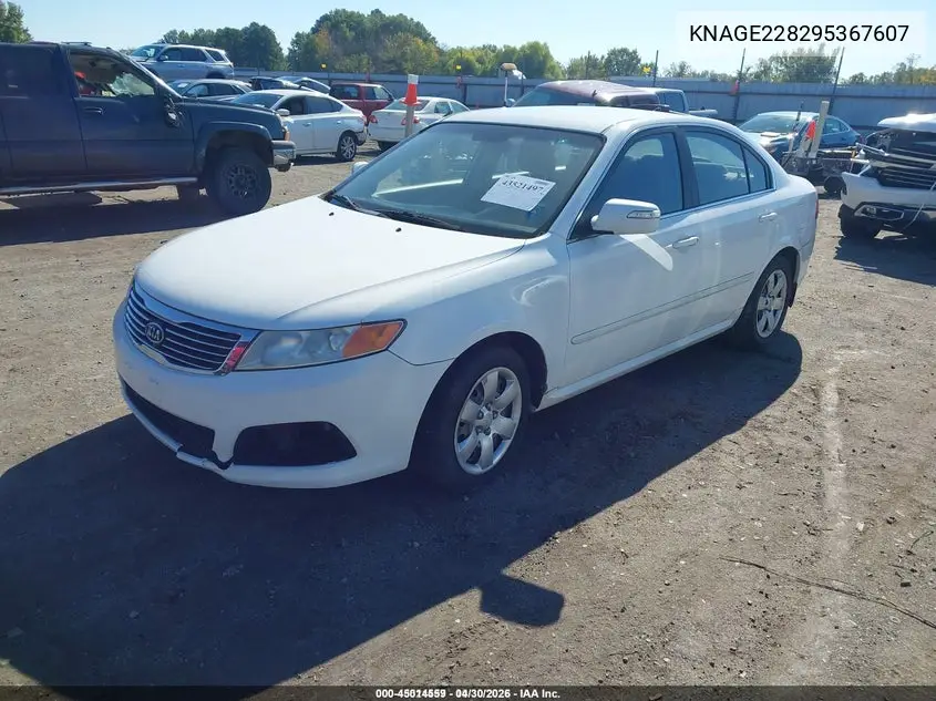 KNAGE228295367607 2009 Kia Optima Lx