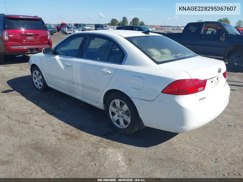 KNAGE228295367607 2009 Kia Optima Lx