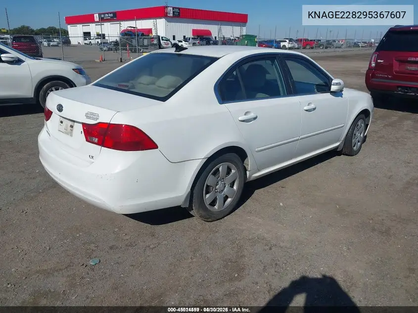 KNAGE228295367607 2009 Kia Optima Lx