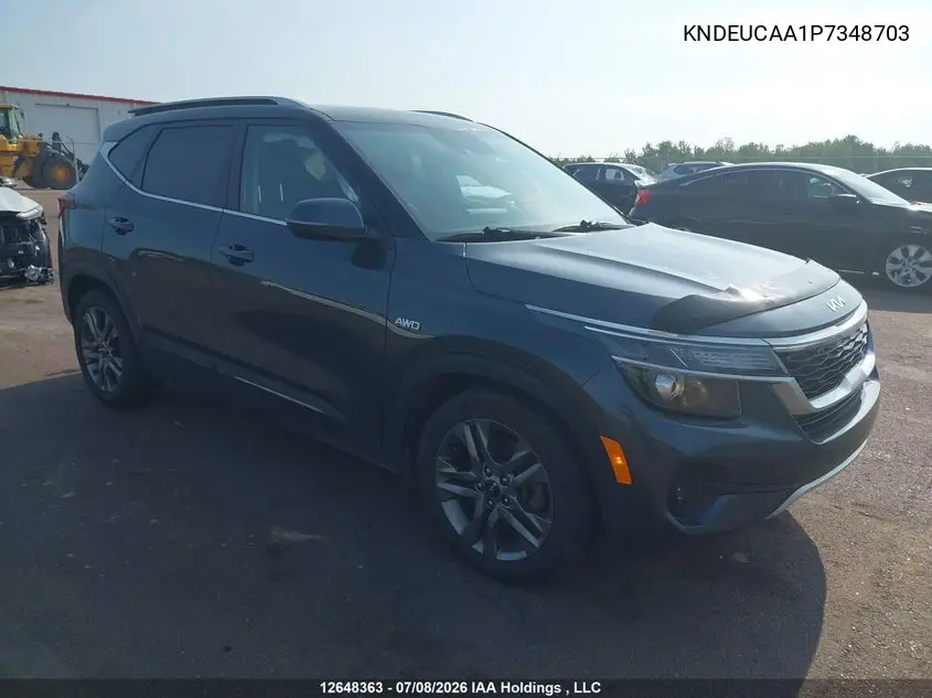 2023 Kia Seltos Ex VIN: KNDEUCAA1P7348703 Lot: 12648363