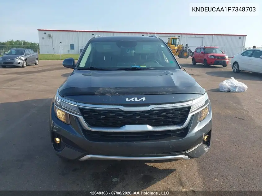 2023 Kia Seltos Ex VIN: KNDEUCAA1P7348703 Lot: 12648363