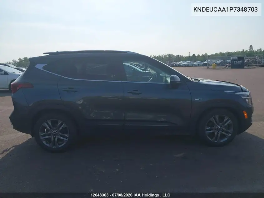 2023 Kia Seltos Ex VIN: KNDEUCAA1P7348703 Lot: 12648363