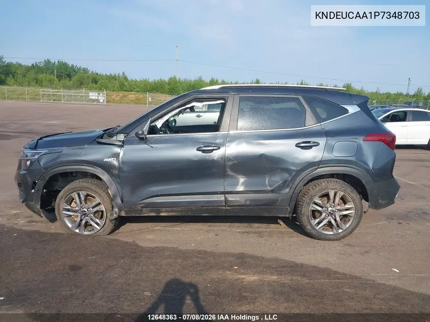 2023 Kia Seltos Ex VIN: KNDEUCAA1P7348703 Lot: 12648363