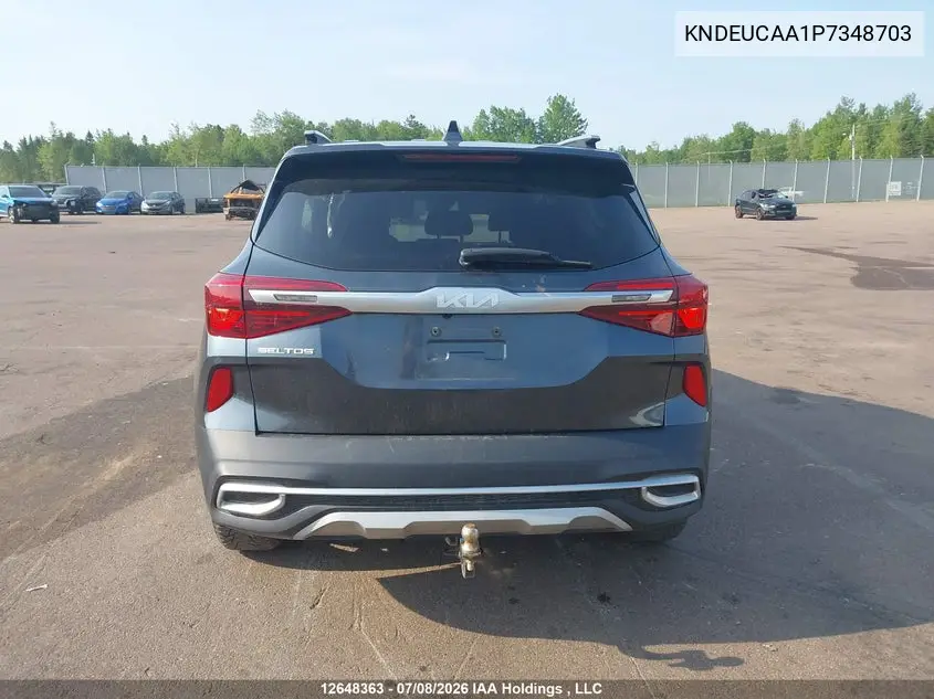 2023 Kia Seltos Ex VIN: KNDEUCAA1P7348703 Lot: 12648363