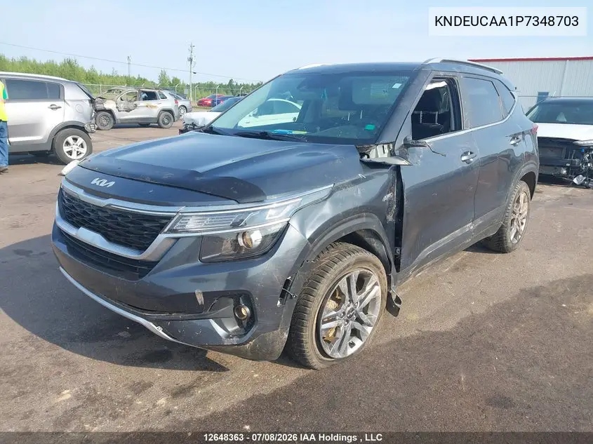 2023 Kia Seltos Ex VIN: KNDEUCAA1P7348703 Lot: 12648363