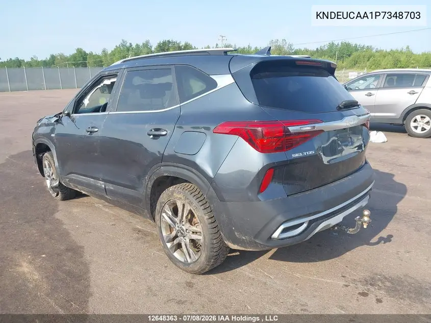 2023 Kia Seltos Ex VIN: KNDEUCAA1P7348703 Lot: 12648363