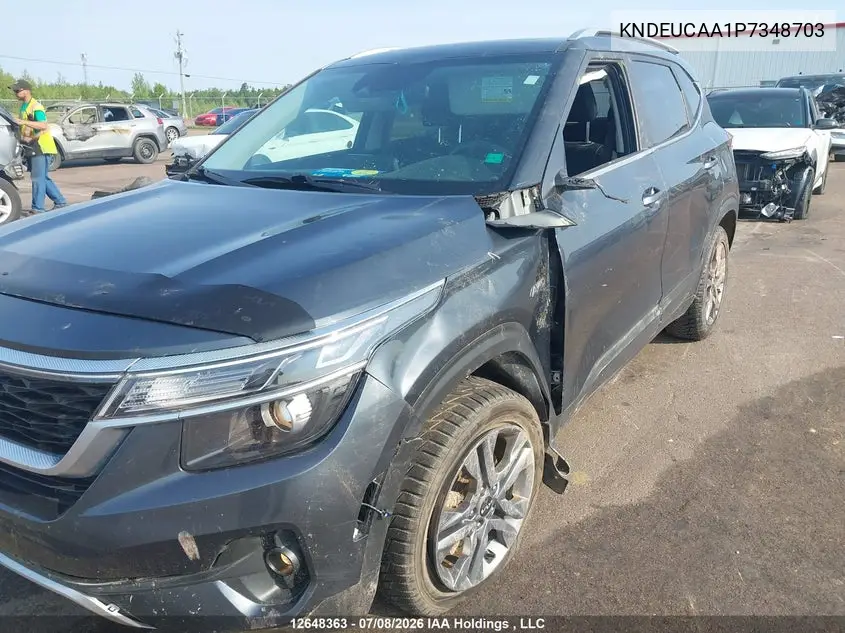 2023 Kia Seltos Ex VIN: KNDEUCAA1P7348703 Lot: 12648363