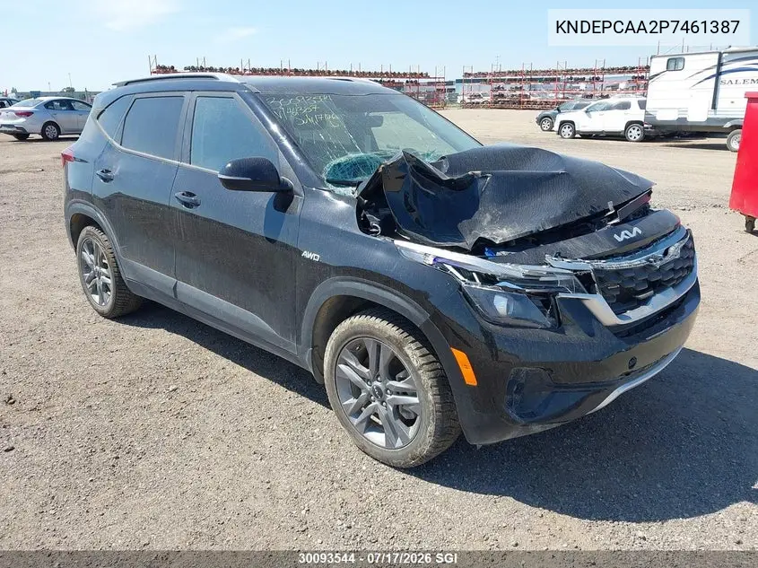 2023 Kia Seltos Lx VIN: KNDEPCAA2P7461387 Lot: 30093544