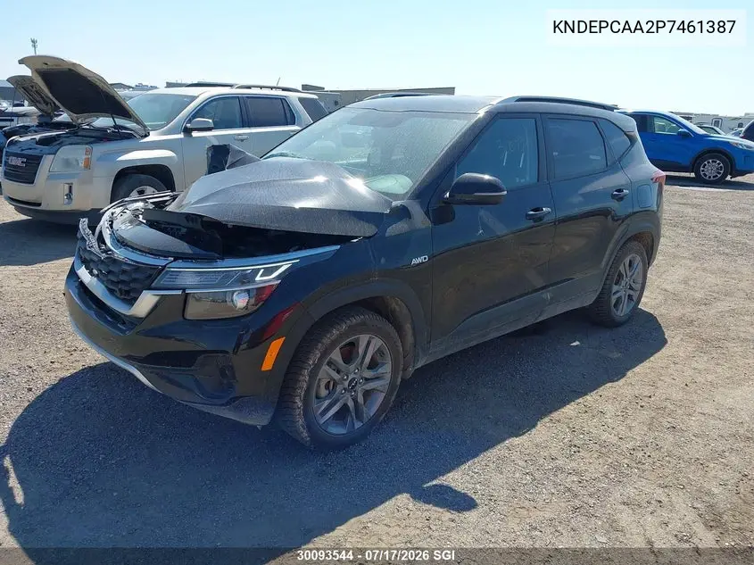 2023 Kia Seltos Lx VIN: KNDEPCAA2P7461387 Lot: 30093544