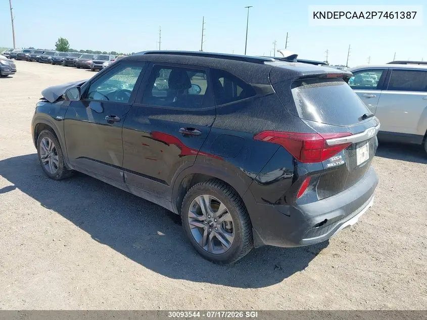 2023 Kia Seltos Lx VIN: KNDEPCAA2P7461387 Lot: 30093544