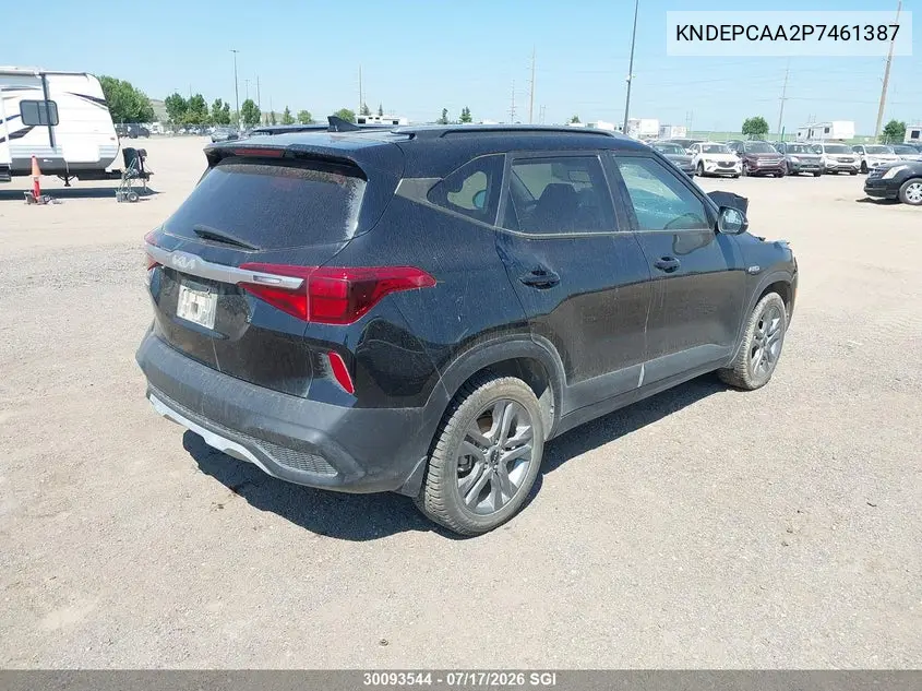 2023 Kia Seltos Lx VIN: KNDEPCAA2P7461387 Lot: 30093544