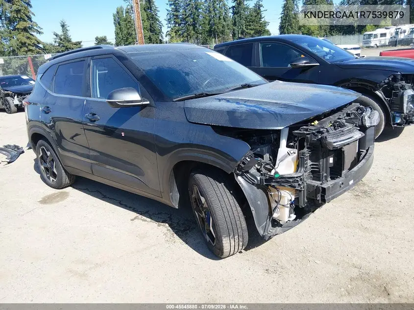 2024 Kia Seltos Ex VIN: KNDERCAA1R7539879 Lot: 45545880