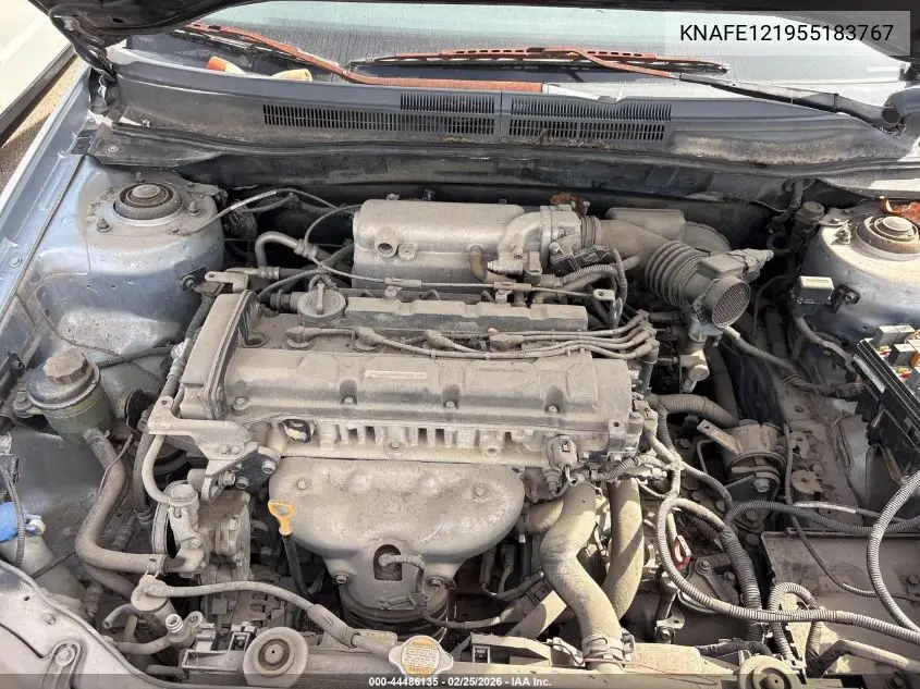 2005 Kia Spectra Ex/Lx/Sx VIN: KNAFE121955183767 Lot: 44486135