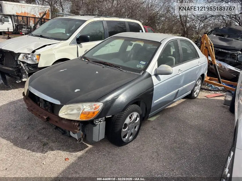 2005 Kia Spectra Ex/Lx/Sx VIN: KNAFE121955183767 Lot: 44486135