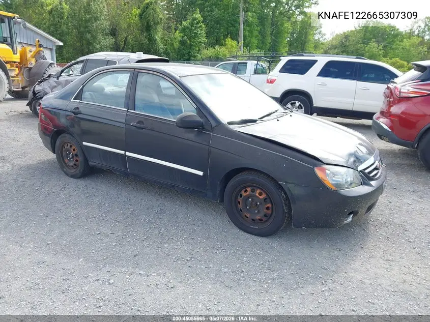 2006 Kia Spectra Ex/Lx/Sx VIN: KNAFE122665307309 Lot: 45055665