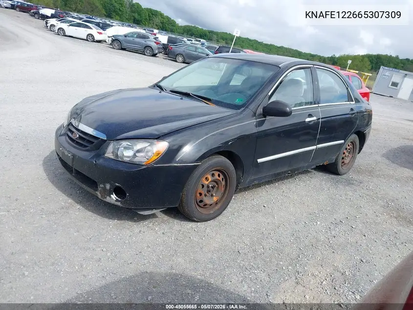 2006 Kia Spectra Ex/Lx/Sx VIN: KNAFE122665307309 Lot: 45055665