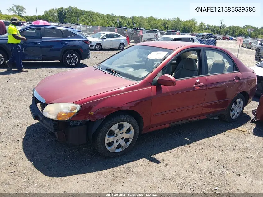 2008 Kia Spectra Ex VIN: KNAFE121585539586 Lot: 45247841