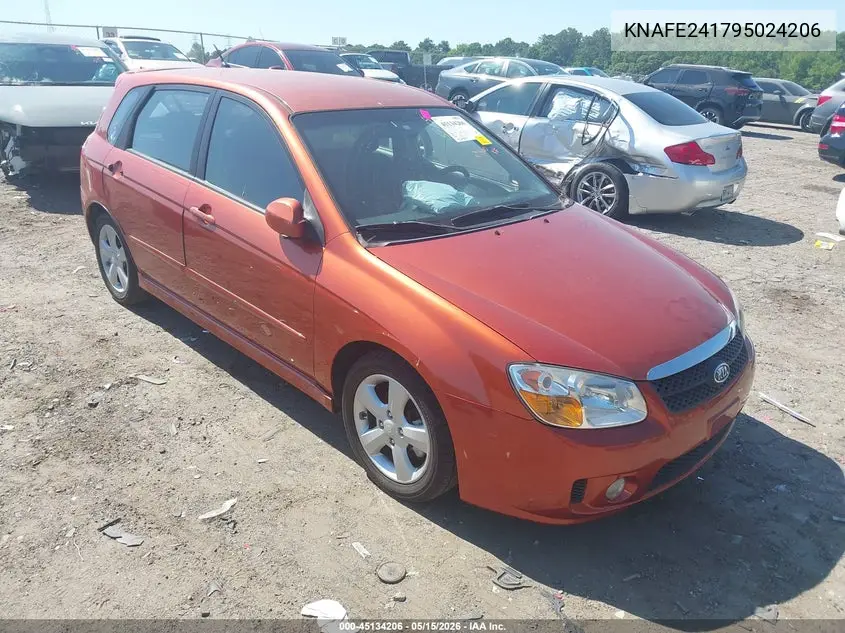 2009 Kia Spectra5 Sx VIN: KNAFE241795024206 Lot: 45134206
