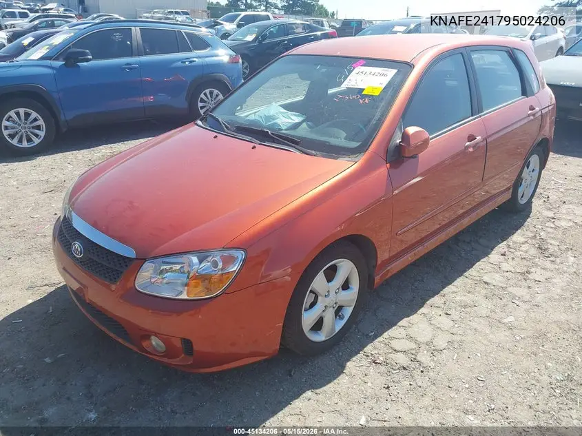 2009 Kia Spectra5 Sx VIN: KNAFE241795024206 Lot: 45134206