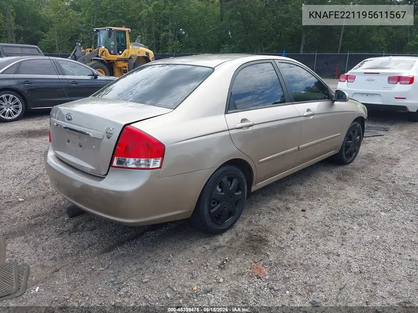 2009 Kia Spectra Ex VIN: KNAFE221195611567 Lot: 45399475
